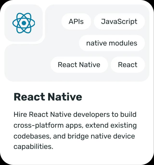 Mobile app developer project