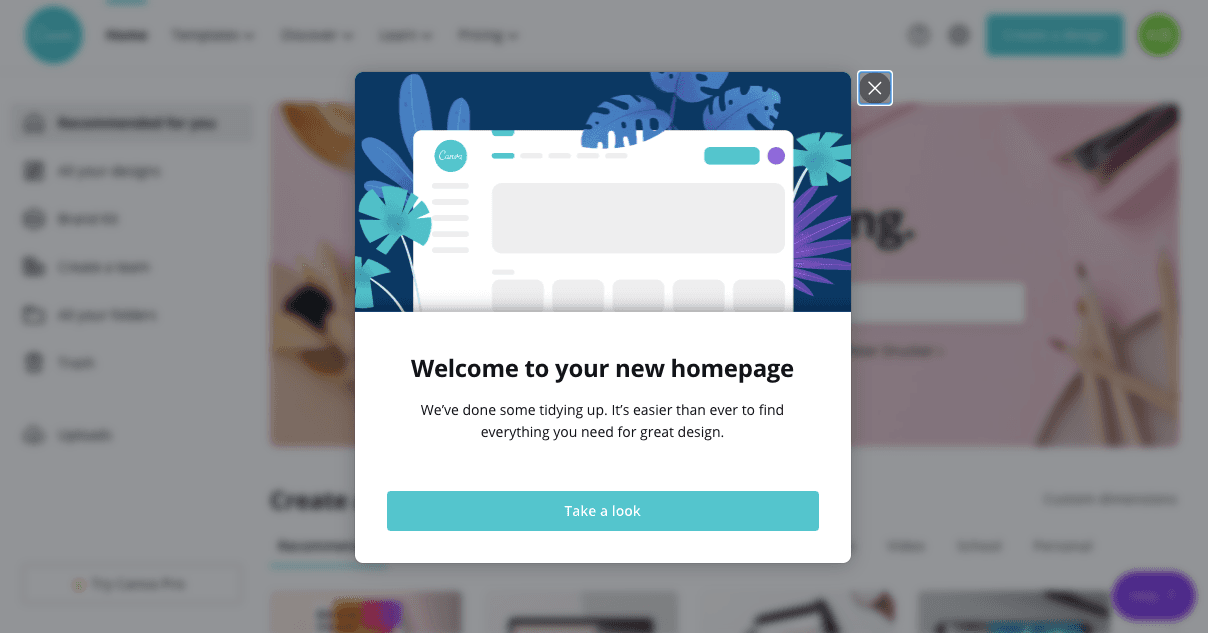 UX Optmization, Canva, Onboarding & Tooltips